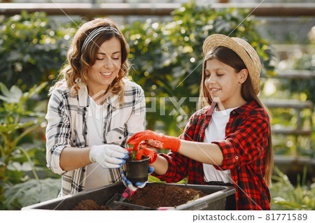 Family working in a greenhouse Family working in a greenhouse 81771589
