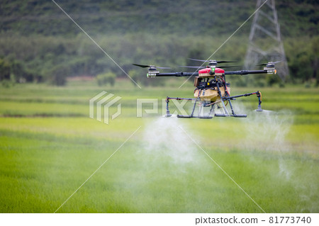 Agriculture drones glide above rice fields spraying fertilizer. Farmers used a drone to spray fertilizer on rice fields. Agriculture technology concept 81773740