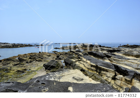 Rocky shore Seaside environment with tide 81774332