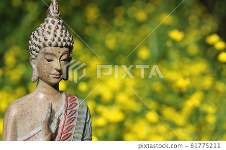 Buddha Statue With Field of Yellow Flowers in Background 81775211