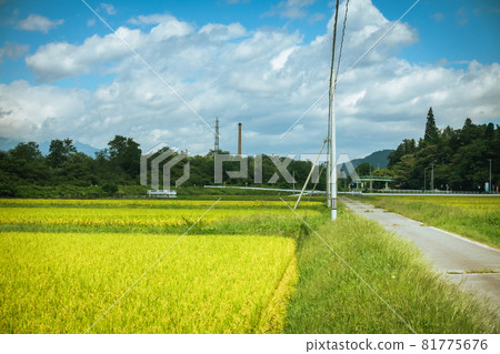 Countryside scenery [Omachi city in summer] 81775676