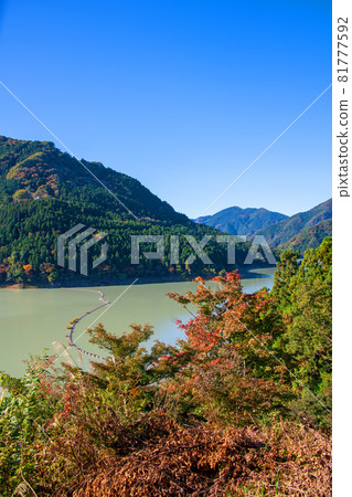 Scenery from the vicinity of the Kanna Lake Shimokubo Dam observatory Autumn scenery Autumn leaves season 81777592