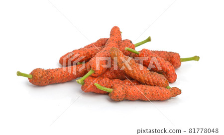 Long Pepper isolated on white  background Long Pepper isolated on white  background 81778048