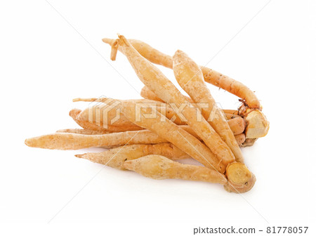 krachai isolated on white background krachai isolated on white background 81778057