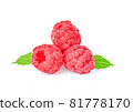 Raspberry isolated on white background 81778170
