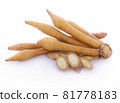 Fingerroot, Kaempfer, Boesenbergia on white background 81778183
