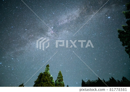 The Milky Way seen from the forest 81778381