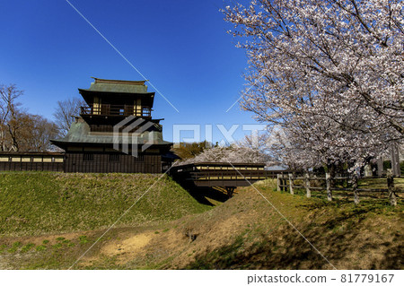 kai市Watch望塔和櫻桃樹 kai市Watch望塔和櫻桃樹 81779167