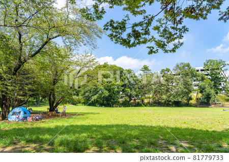 [東京]町田市的鶴舞公園，夏季綠樹成蔭 81779733