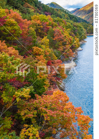 Shichikashuku Dam in autumn (Miyagi Prefecture) Shichikashuku Dam in autumn (Miyagi Prefecture) 81780369