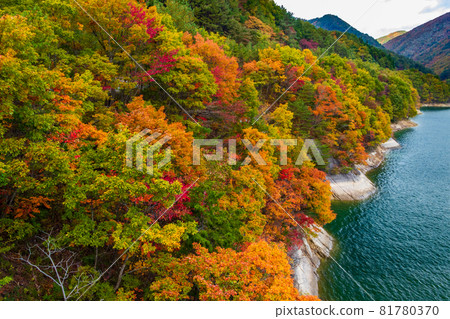 七宿水壩的紅葉<宮城縣> 七宿水壩的紅葉<宮城縣> 81780370