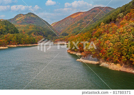 七宿水壩的紅葉<宮城縣> 七宿水壩的紅葉<宮城縣> 81780371