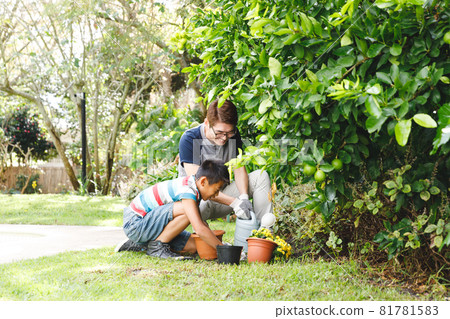 Happy asian father and son smiling, wearing gloves and planting plants together in garden 81781583