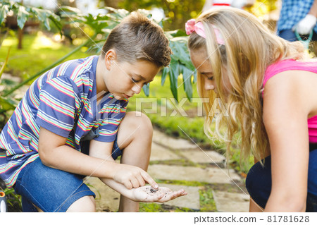 Caucasian brother and sister working in garden and exploring nature 81781628