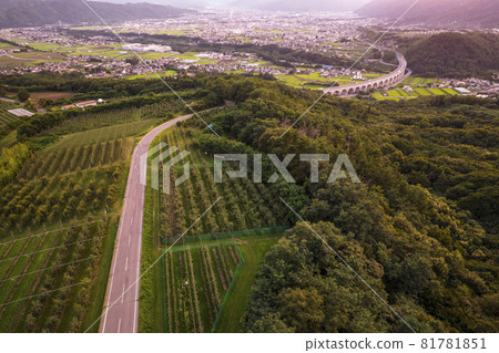 長野縣上田市夜景和上田羅馬橋 81781851