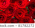 Red rose flower close-up 81782272