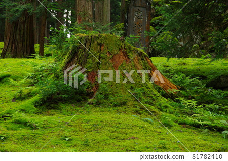 Hakusan Heisenji Temple Moss area in front of the hall of worship Hakusan Heisenji Temple Moss area in front of the hall of worship 81782410