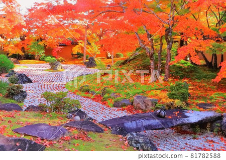 Autumn leaves at Entsuin Garden 81782588