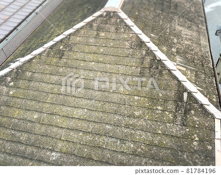 Moss is spreading on the roof and it is getting old Moss is spreading on the roof and it is getting old 81784196