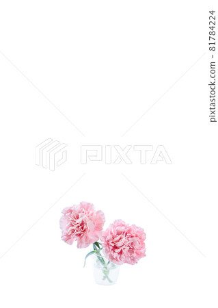 Bouquet carnation flower gift thank you perennial Bouquet carnation flower gift thank you perennial 81784224