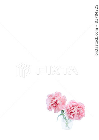 Bouquet carnation flower gift thank you perennial Bouquet carnation flower gift thank you perennial 81784225