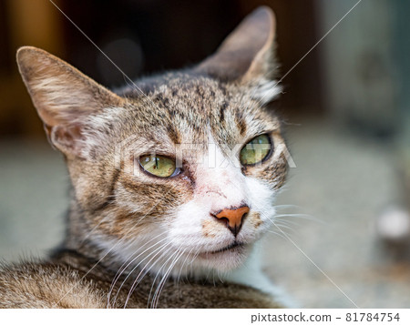 台灣侯硐的景色 81784754