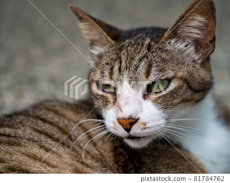 台灣侯硐的景色 81784762