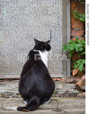 台灣侯硐的景色 81784794