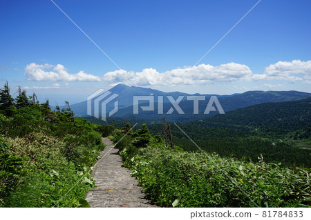 從八幡平眺望岩手山 從八幡平眺望岩手山 81784833