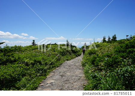 Let's go and see Hachimantai in summer 81785011
