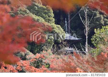 永觀堂 禪林寺 多寶塔 81785410