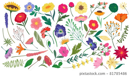 Cute spring flowers and leaves, botanical floral elements. Flat cartoon blossom flower, wildflower and garden blooming plants vector set 81785486