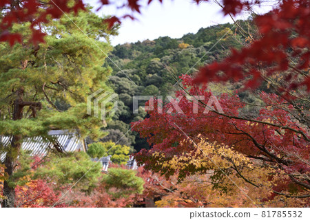 永堂禪林寺的秋葉 81785532