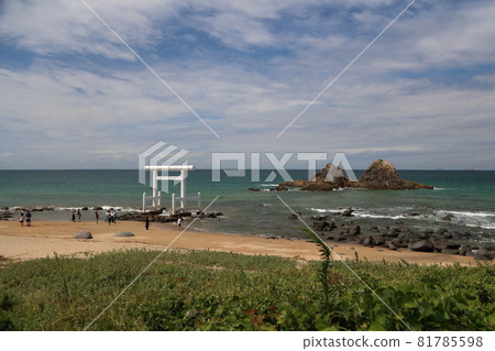 二見浦夫婦岩 81785598