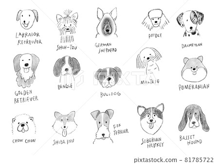 手感柔和的手繪寵物插圖 各種犬種 81785722