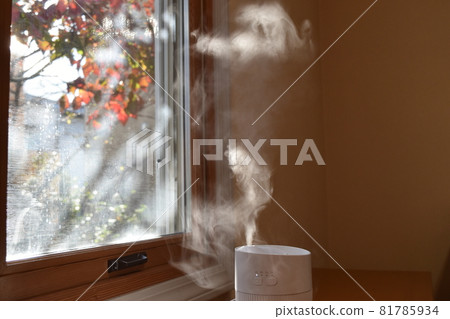 The soft sunlight of autumn, the autumn leaves of a dogwood tree seen from a window, and a humidifier 81785934