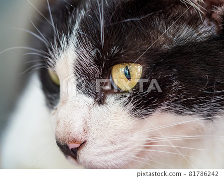 台灣侯硐的景色 台灣侯硐的景色 81786242