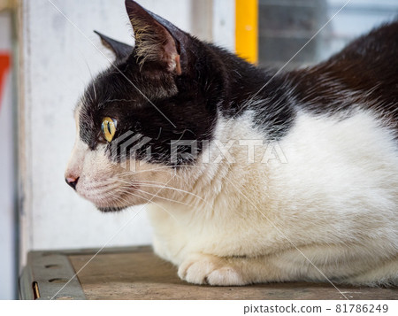 台灣侯硐的景色 81786249