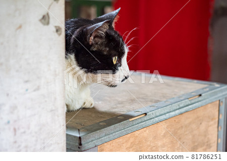 台灣侯硐的景色 81786251