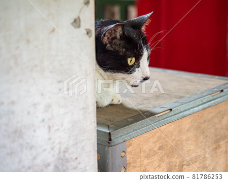 台灣侯硐的景色 81786253