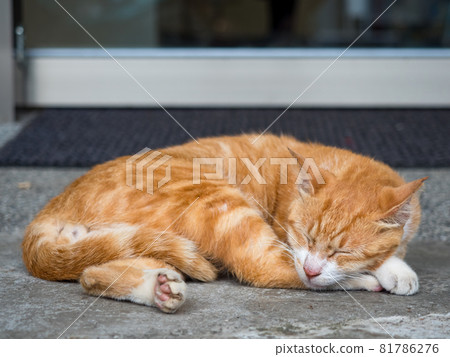 台灣侯硐的景色 81786276