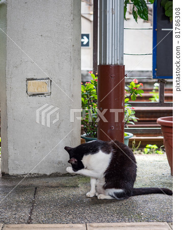 台灣侯硐的景色 81786308