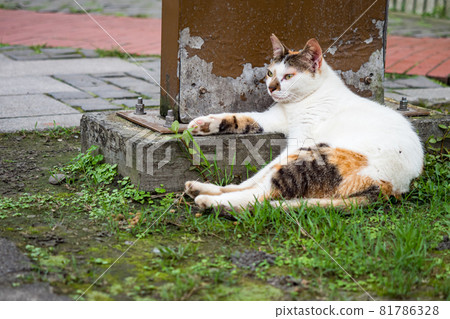 台灣侯硐的景色 81786328