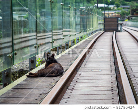 台灣侯硐的景色 81786424