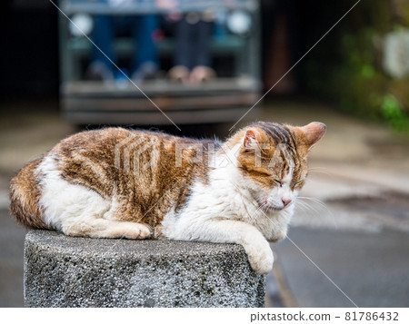 台灣侯硐的景色 81786432