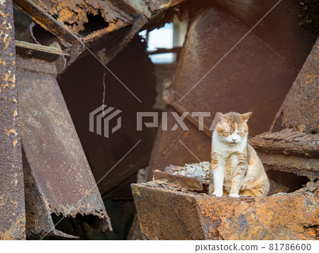 The scenery of Houtong, Taiwan The scenery of Houtong, Taiwan 81786600