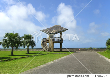 小濱島的街道公園，可以看到蝠鱝 81786723