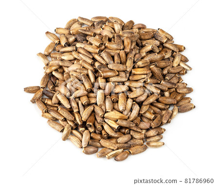 pile of milk thistle seeds closeup on white background 81786960