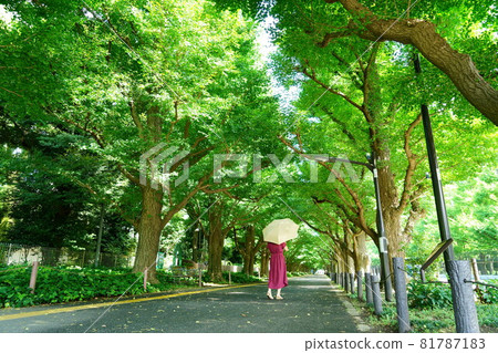 A woman in a red dress and holding a yellow parasol walking down the ginkgo tree-lined street A woman in a red dress and holding a yellow parasol walking down the ginkgo tree-lined street 81787183