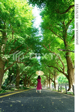 A woman in a red dress holding a yellow parasol in the sunlight filtering through the ginkgo trees (center) A woman in a red dress holding a yellow parasol in the sunlight filtering through the ginkgo trees (center) 81787222
